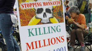 US government lobbying for Monsanto across the globe
