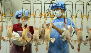 Cancer-causing arsenic retained in chicken meat – FDA